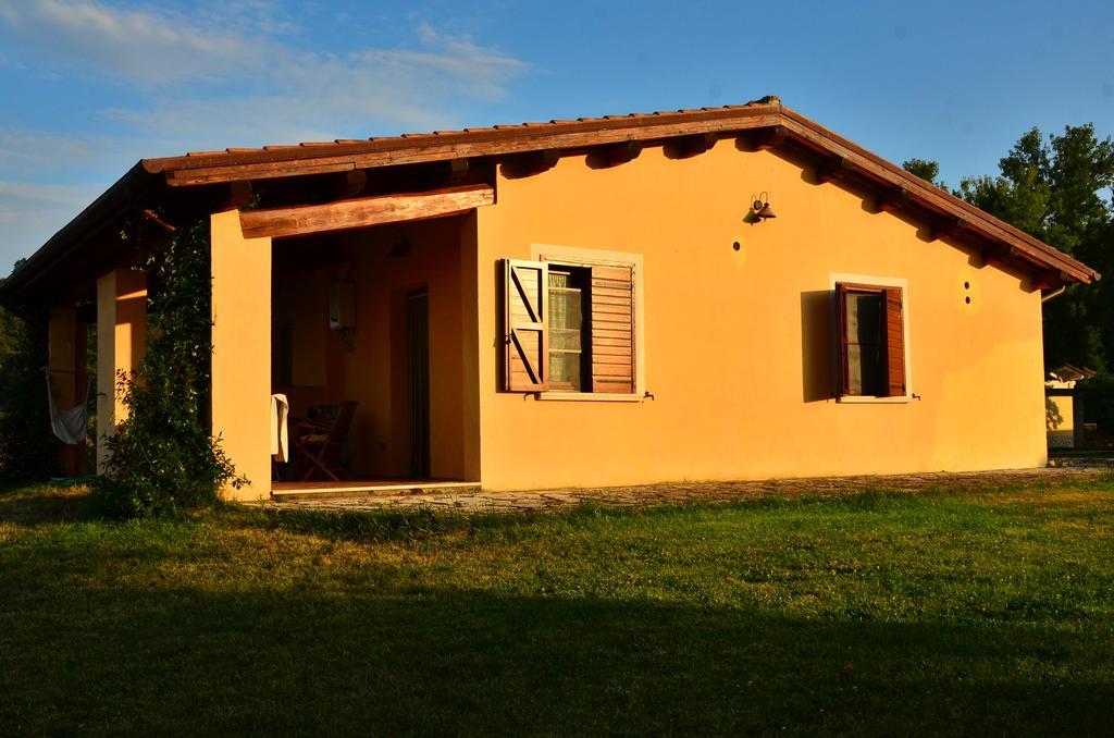 Agriturismo Terre Di Musignano Canino 部屋 写真