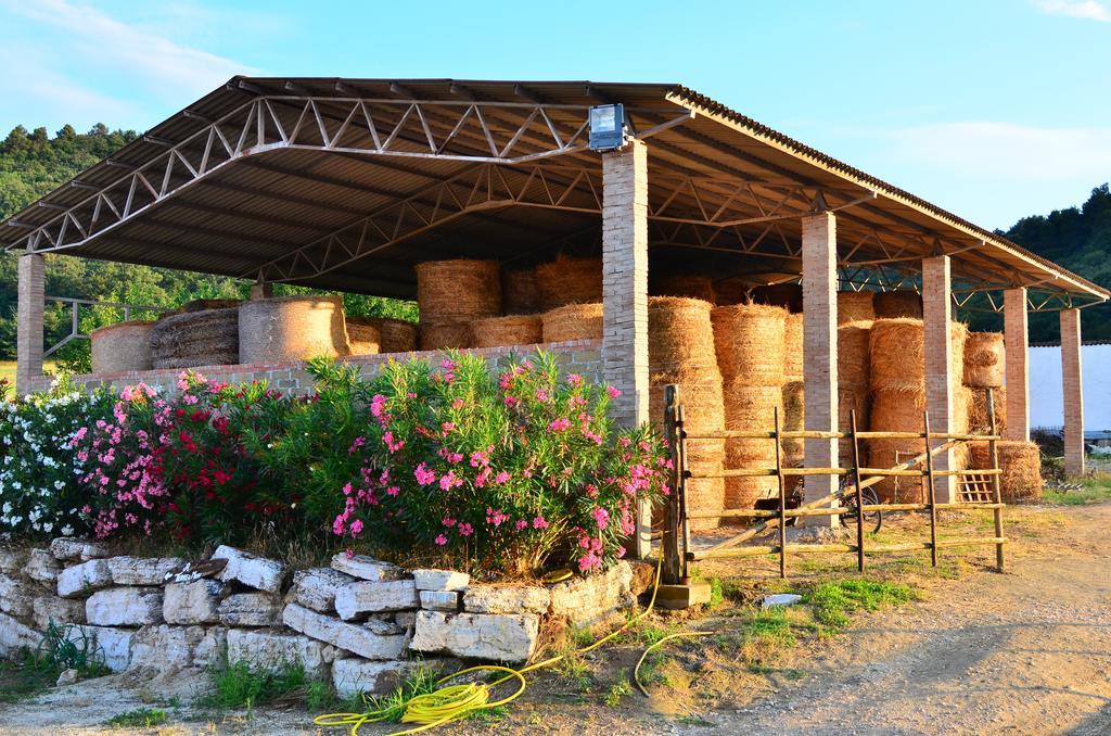 Agriturismo Terre Di Musignano Canino 部屋 写真