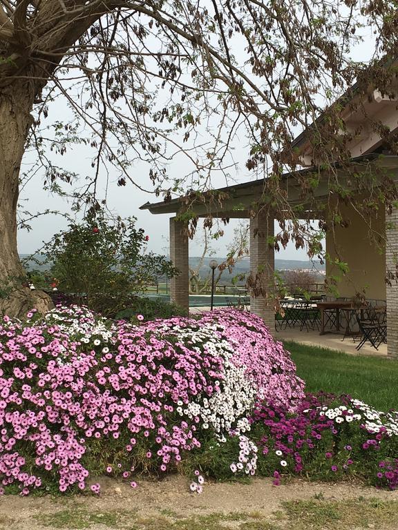 Agriturismo Terre Di Musignano Canino エクステリア 写真