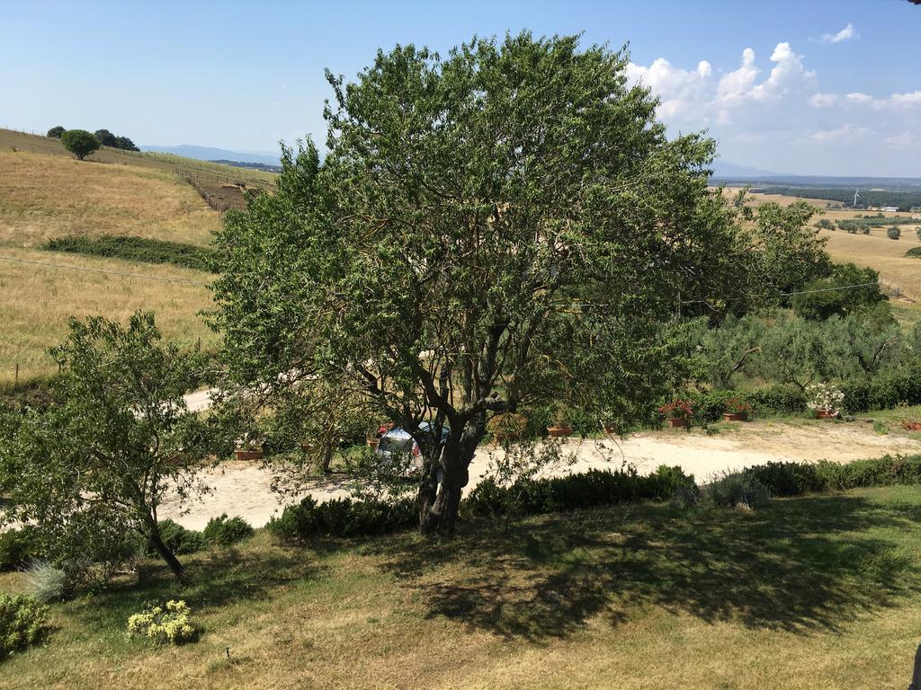 Agriturismo Terre Di Musignano Canino エクステリア 写真