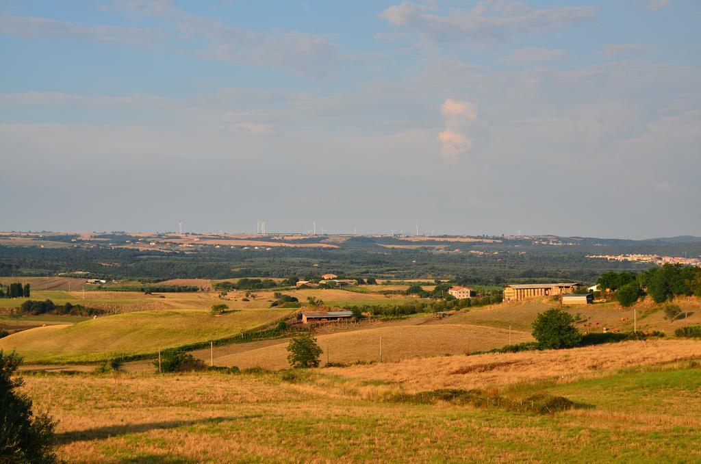 Agriturismo Terre Di Musignano Canino エクステリア 写真